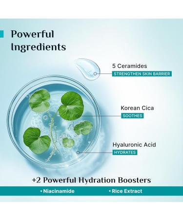 Pilgrim Cica Moisturizer for Face with 5 Ceramides & Hyaluronic Acid | Hydrating Fragrance-Free Cream for Dry Sensitive & Combination Skin | Repairs Skin Barrier | 3.53 Oz (100g) - Buy Online on GoSupps.com