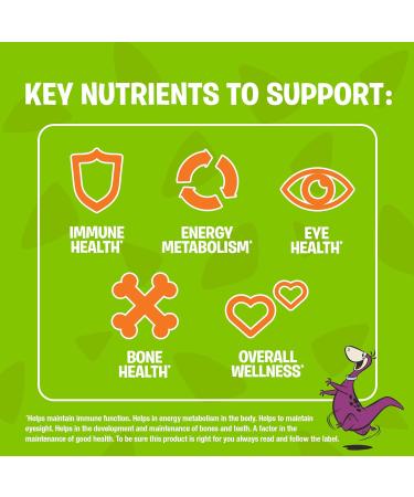 FLINTSTONES Kids Multivitamin Gummies Plus Immunity Support- Multivitamins for Kids Kids Gummy With Zinc and Extra Vitamin C Free of Artificial Sweeteners Free of Aspartame Free of Synthetic FD&C Dyes 180 Gummies - Buy Online on GoSupps.com