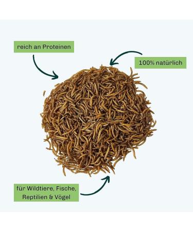Blumixx Mealworms for Wild Birds & Small Animals - 800g Nutritious Dried Feed | Ideal Winter Bird Food & Pet Supplement - Buy Online on GoSupps.com