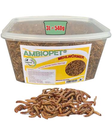 Ambiopet dried mealworms in the 3-liter closure container protein and fat rich refined and sieved for fish rodents birds reptiles also koiFutter or hedgehog feed