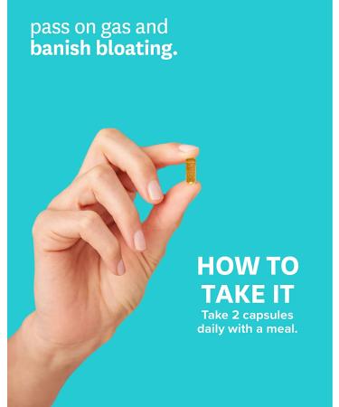 Zenwise Health No Bloat Probiotic - DE111, 60 Veggie Capsules for Digestive Relief - Buy Online on GoSupps.com