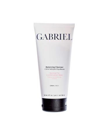 Gabriel Organic Cleanser Natural Facewash Paraben Free Vegan Skincare 6 oz (Purifying Gel)