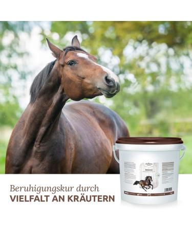 AniForte Soothing Horse Cure 1kg Natural Soothes Stress Nervousness Horror Relaxation Against Restless Natural Product - Buy Online on GoSupps.com