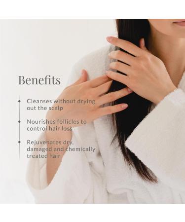 Buy Forest Essentials Hair Cleanser with Japapatti & Brahmi - Natural Herbal Shampoo 50ml | International Shipping Available - Buy Online on GoSupps.com