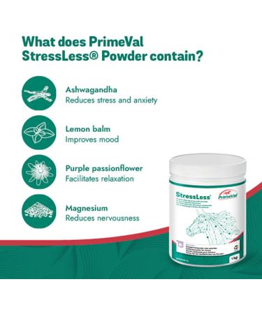 Primeval Stressless Horse - Natural Trimagnesium Citrate & Chicory Fiber for Calm Transport & Vet Visits - 500g Powder Supplement - Buy Online on GoSupps.com