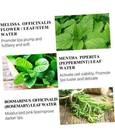 Mikinona Lip Serum Lip Oils Lipgloss Lip Tint Essence Lip Gloss Lip Balm Lip Plumping Oil Lip Oil Balm Plumping Lip Oil Lip Care Supplies Hydrating Lip Oil Lip Pomade Nursing Oil Lips Water - Buy Online on GoSupps.com