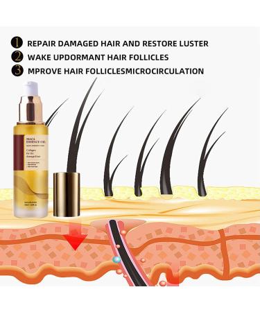 Collagens Hair Care Oil Hair Oil Moroccan Argan Oil Cold Pressed Maca Essence Argan Oil Hair Oil Natural Argan Oil Hair ma_sk For Dry Damaged Hair Natural Oil Hair ma_sk Deep Repair trea_tment - Buy Online on GoSupps.com