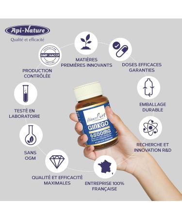 Ginkgo Biloba 6500 mg Pure Essence | Food Supplement 80 Vegetable Capsules 24% Ginkgoflavoglycosides 6% Lactones | Supports Memory and Circulation Api-Nature - Buy Online on GoSupps.com