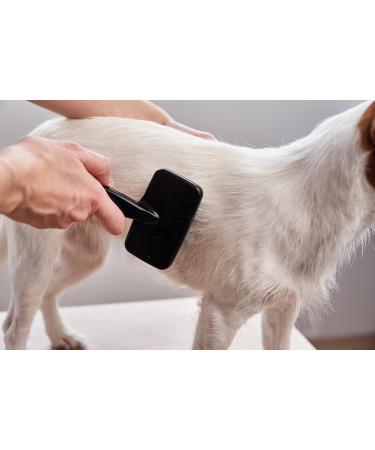 Lambskin Brush for Pets - Universal Care Brush for Dogs & Cats | Soft Grip Long & Short Hair Fur Brush | Black/Red - Buy Online on GoSupps.com