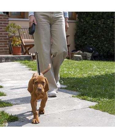Buy Ferplast Flippy One Dog Leash for Medium Dogs - 5m Pull-Out Cord Light Blue | Shop Internationally - Buy Online on GoSupps.com