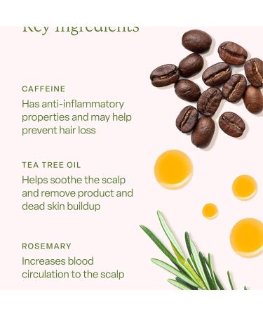  G n rique Rosemary Scalp Oil Root Booster with Safety Regrowth Solution Soothing Care & Moisturizing Formula Strengthening and Repairing Thinning Hair Ideal for Women Daily Use 30 ml - Buy Online on GoSupps.com