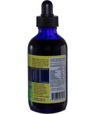 Dr. Rydland's KidsWellness Stomach Formula Herbal Supplement - 4 Ounces - Buy Online on GoSupps.com