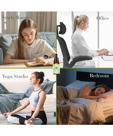 Peppermint Essential Oil 100% Pure Natural Steam Distilled 1 Fl Oz Premium Grade for Aromatherapy Diffusers Humidifiers (Peppermint) - Buy Online on GoSupps.com