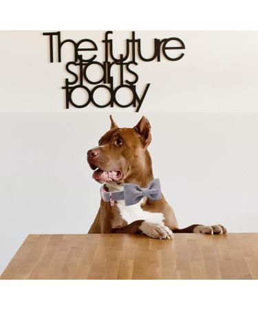 Buy Dogwong Gray Dog Collar with Removable Fly - Adjustable & Comfortable for Small to Medium Dogs | Perfect Gift for Young Dogs | Pack of 1 - Buy Online on GoSupps.com