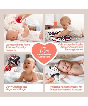 Hahaland Baby Toys 0-6 Months | 30 TLG Black & White Educational Set | Montessori Fabric Book & Stroller Toys | Brain Development Gift - Buy Online on GoSupps.com