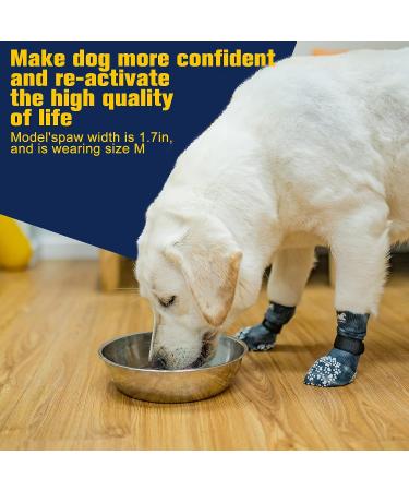 EXPAWLORER Non-Slip Dog Socks - X-Large Black/White - Anti-Slip Paw Protector for Indoor Traction & Preventing Licking/Slipping - Buy Online on GoSupps.com