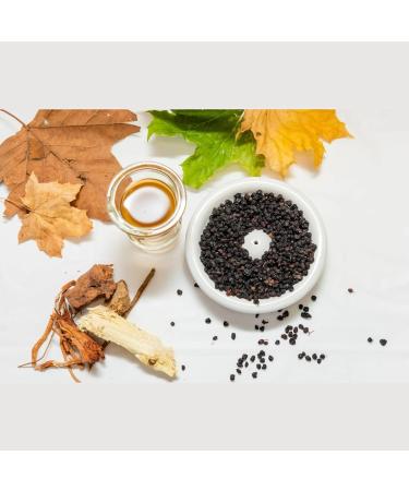 Pure Immunity Enhancer | Elderberry Formula | Herbal Immune Support Supplement | 32 fl oz Elderberry 32 Fl Oz (Pack of 1) - Buy Online on GoSupps.com