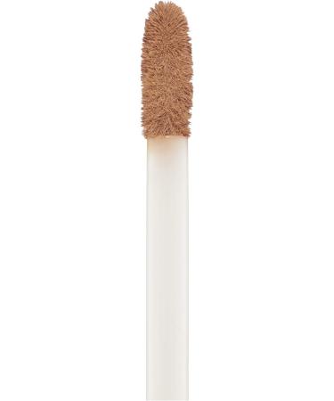 Collection Lasting Perfection Concealer - 16-Hour Wear, Long Lasting, Maple Shade - Buy Online on GoSupps.com