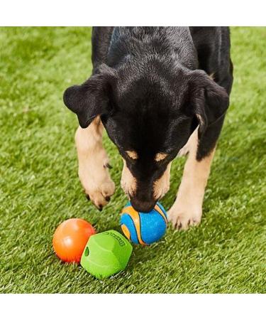 ChuckIt! Fetch Rubber Dog Ball Medley Strato Erratic Ultra Squeaker Balls for Dogs Durable High Bounce Launcher Compatible Dog Toy Gen 2 - 3 Pack Medium Multi Medium - Buy Online on GoSupps.com