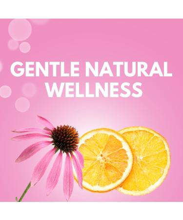 ARYMAR Echinacea + Vitamin C & Zinc Immune Support Supplement with Herbal & Nutrient Blend 60 Capsules - Buy Online on GoSupps.com