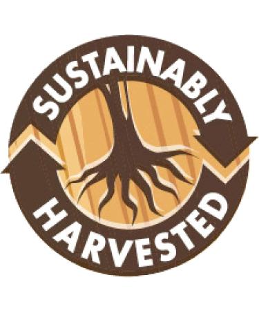 Bluebonnet Nutrition Targeted Choice Sleep Support Rest & Relaxation Whole Food-Based Formula Soy-Free Gluten-Free Kosher Non-GMO Dairy-Free Vegan 30 Vegetable Capsules Unflavored 30 Count (Pack of 1) - Buy Online on GoSupps.com