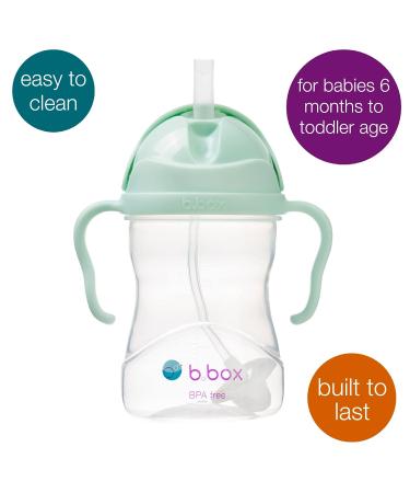 b.box Sippy Cup 8oz - Pistachio Green | Baby Straw Cup with Weighted Straw, Easy-Grip Handles | 6m - Buy Online on GoSupps.com