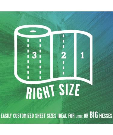Seventh Generation Paper Towels  100% Recycled Paper  2-ply  2-Count (Pack of 12) - Buy Online on GoSupps.com