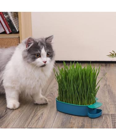 Buy Buguuyo 3 Series Cat Grass Box with Catnip - Perfect Plastic Plant Planters for Pets - Buy Online on GoSupps.com