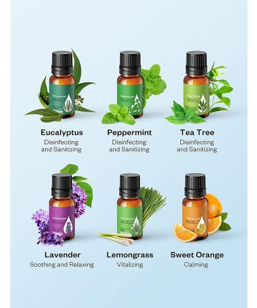 AOSNO 6pc Essential Oils Gift Set - Top 6 Aromatherapy Oils for Candle Making, Skin, Massage, Hair Care & Diffuser - 100% Pure 0.34 Fl Oz (Pack of 6) - Buy Online on GoSupps.com