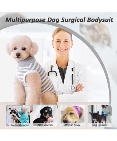 Lyneun Soft Dog Body Suit for Post-Op Recovery | Breathable & Comfortable One-Piece | Wound Protection & Allergy Relief (Gray Large) - Buy Online on GoSupps.com