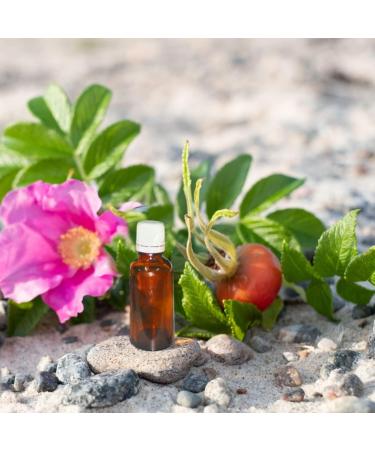 Brown Glass Dropper Bottles Set - 28pcs 10ml Empty Essential Oil Containers with White Lids | Perfect for Perfume & Fragrance Samples - Buy Online on GoSupps.com