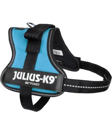 K9 Powerharness XS/Mini-Mini Aquamarine - Best Fit for Your Small Dog | International Shipping Available - Buy Online on GoSupps.com