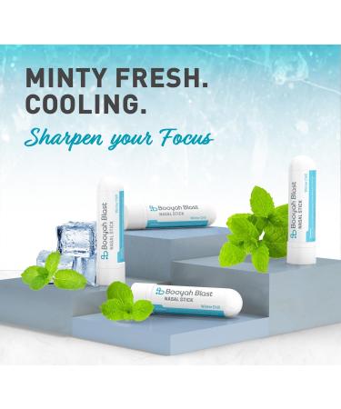 BOOYAH BLAST Nasal Sticks 4PK - Winter Chill - Buy Online on GoSupps.com