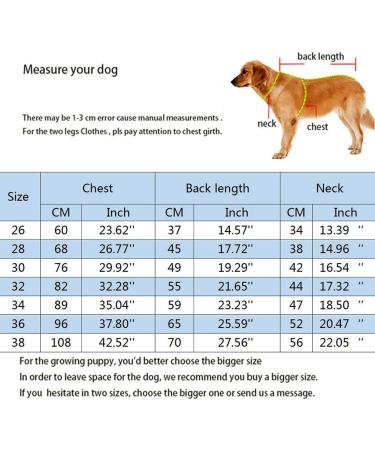 Rehabilitation Suit for Medium & Large Dogs - Breathable Full Cover Pajamas for Post-Op Recovery & Skin Protection | Cone Collar Alternative - Size 32 Strawberry - Buy Online on GoSupps.com
