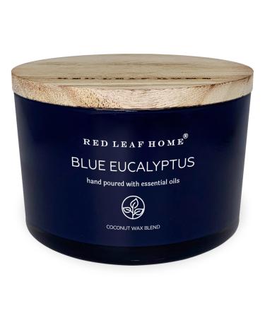 Red Leaf Home Blue Eucalyptus Scented Glass Jar Candle | Includes Wooden Lid Large | Aromatherapy | Fresh Scents Collection | 16.5oz Blue Eucalyptus 16.5oz