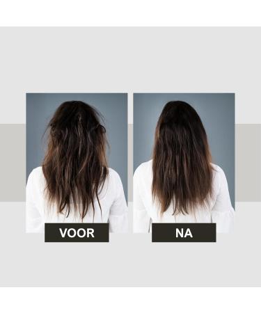 Peer Pharm LTD Shampoo with Black Mud from the Dead Sea All Hair Types Cleansing Strengthening Moisturizing Enriched with Minerals Aloe Vera Vitamin E Without Parabens or Dyes 400ml - Buy Online on GoSupps.com