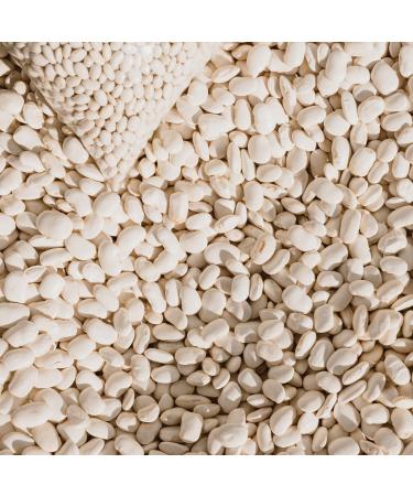 TRS - Lemon seeds (1 x 500 g) - Buy Online on GoSupps.com