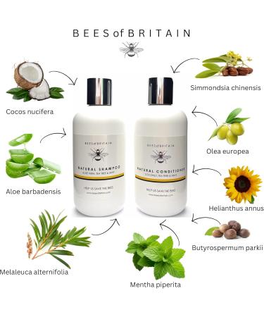 99% Natural SHAMPOO - ALOE VERA TEA TREE & MINT - 250ml by BEES of BRITAIN No Sulphates No Parabens No Silicone. We Donate 5% of Profits to Help Save Bees and Pollinators - Buy Online on GoSupps.com