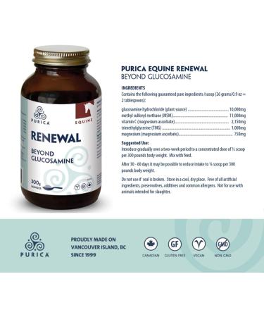 PURICA - Equine Renewal 300g Powder - Beyond Glucosamine - Ideal for Maintaining The Joint Health and Mobility of Horses - Supports Fluid Movement - Buy Online on GoSupps.com