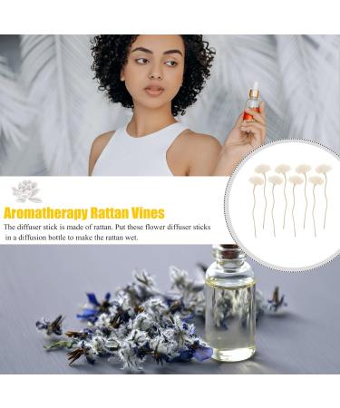 8Pcs Wood Rose Rattan Essential Oil Diffuser Sticks - Perfect Home Fragrance Aromatherapy for International Shipping - Buy Online on GoSupps.com