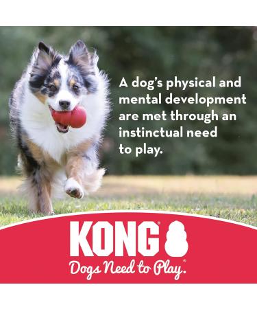 Kong Extreme Ball - Durable Rubber Dog Toy for Strong Chewers - Medium to Large Dogs - 1 Pack - Buy Online on GoSupps.com