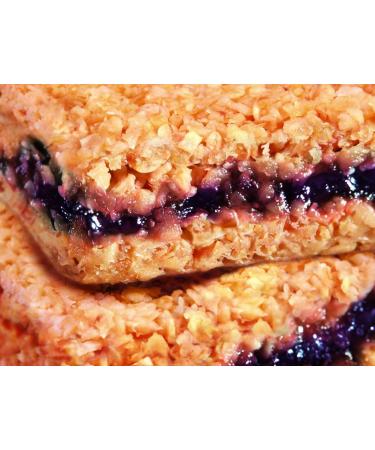 Buy Handcrafted Energy Oatsnack Bars - 30 x 65g Natural Currant Snack | International Shipping Available - Buy Online on GoSupps.com