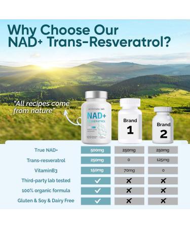 NAD Supplement 1000mg, True NAD+ & Resveratrol, NMN Alternative for Cellular Energy & Healthy Aging - 120 Caps - Buy Online on GoSupps.com