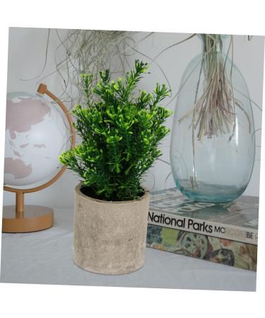 TOPBATHY False Green Plant 5 Pcs Simulated Potted Plant Pulp Potted Plants Household Fake Trees Artificial As Shownx5pcs 21.5x8cmx5pcs - Buy Online on GoSupps.com