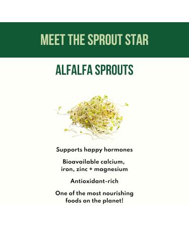 Chai Balance Sprout Powder - Organic Caffeine-Free Golden Milk with Turmeric Adaptogens & Warming Spices - Buy Online on GoSupps.com