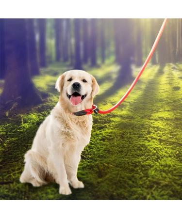 1Pc Nylon Dog Training Rope Slip Lead Dog Leash Durable Dog Traction Rope Durable Dog Traction Rope Suitable for Small Medium Dogs (Red) - Buy Online on GoSupps.com