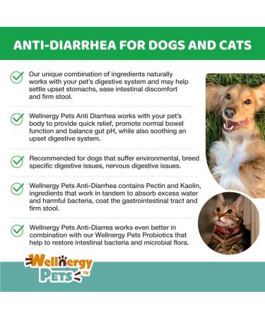 Anti Diarrhea Liquid for Dogs - Dog Diarrhea Relief with Kaolin (4 oz.) - Buy Online on GoSupps.com