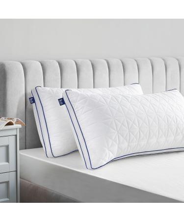 Bedstory 40x80 Pillow Set - 2x950g Microfiber Washable & Breathable Ideal for Allergy Sufferers & Side Sleepers - Buy Online on GoSupps.com