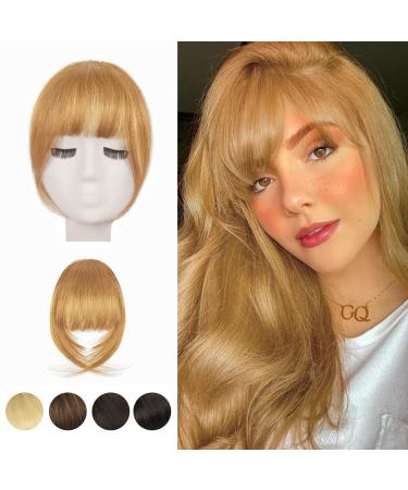 Clip in Bangs, BARSDAR 100% Human Hair Bangs Extensions French Bangs Neat Bangs Air Bangs with Temples Clip on Fringe Bangs Real Hair for Women Natural Color Washable/Dyeable(French-Dark Golden Blonde) French Bangs Dark Golden Blonde