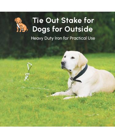 1Above_20ft(6m) heavy duty Dog stake and tie out cable with 16 Inch spiral ground stake Puppy pet Outdoor Tie Out Lead Leas - Buy Online on GoSupps.com